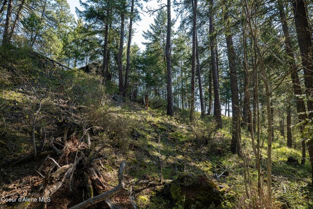 LOT2 W Solid Rock Rd, Coeur Dalene, ID 83814 - photo 40