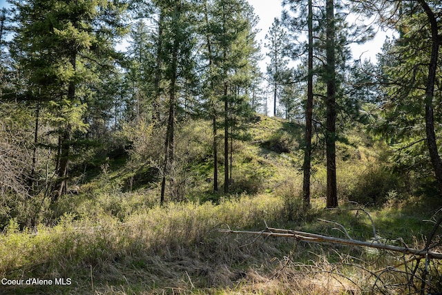 LOT2 W Solid Rock Rd, Coeur Dalene, ID 83814 - photo 41