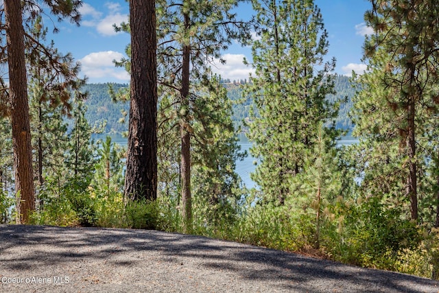 2396 E Crows Nest Rd, Harrison, ID 83833