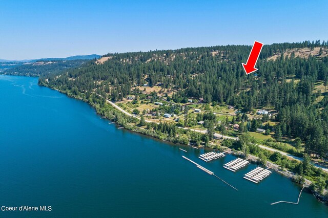 2396 E Crows Nest Rd, Harrison, ID 83833