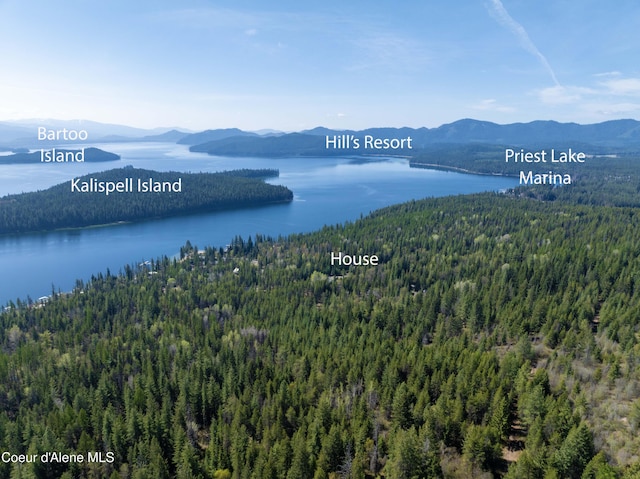 bird's eye view featuring a water and mountain view and a forest view