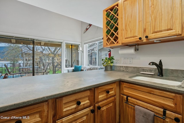 kitchen with brown cabinets, a healthy amount of sunlight, and a sink