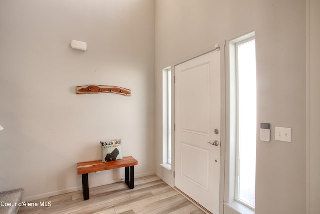 1733 N Minam Loop, Post Falls, ID 83854 - foyer entrance with a healthy amount of sunlight, light wood-style flooring, and baseboards