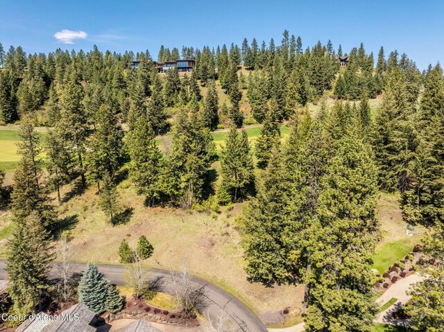 NKA Onyx Circle L47 W, Coeur D'Alene, ID 83814 - photo 11