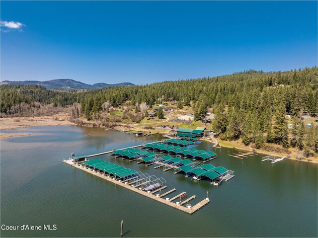 NKA Onyx Circle L47 W, Coeur D'Alene, ID 83814 - photo 57