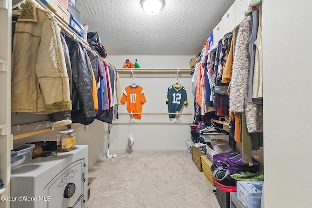 1622 N Minam Loop, Post Falls, ID 83854 - walk in closet with carpet
