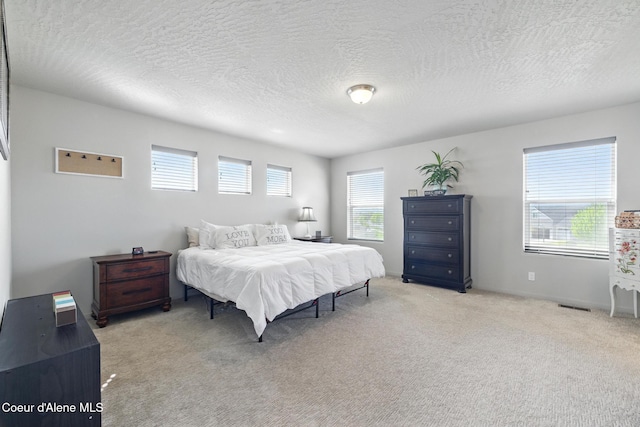 1622 N Minam Loop, Post Falls, ID 83854 - carpeted bedroom featuring a textured ceiling