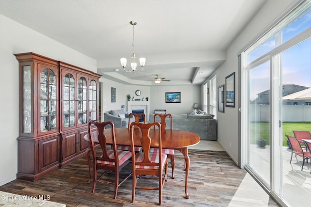 1622 N Minam Loop, Post Falls, ID 83854 - dining area featuring wood finished floors, a raised ceiling, a chandelier, and ceiling fan