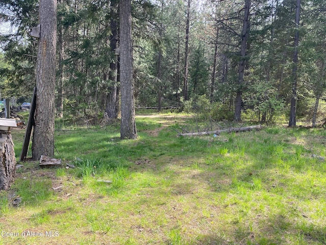 10177 W Creek Side Rd, Coeur Dalene, ID 83815 - photo 12