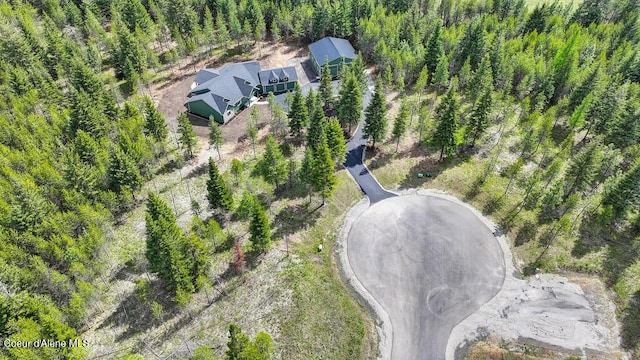 aerial view