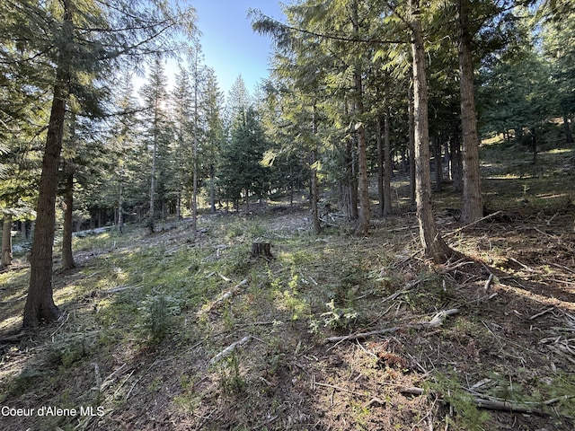 LOT3 Moose Mountain Ln, Kingston, ID 83839