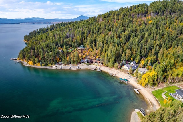 55 Ideal Dr, Sandpoint, ID 83864 - photo 84
