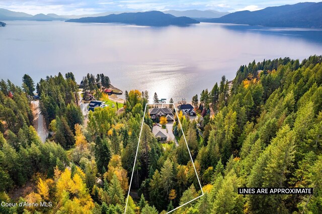 55 Ideal Dr, Sandpoint, ID 83864 - photo 85