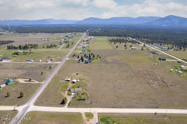 aerial view with a mountain view and a rural view