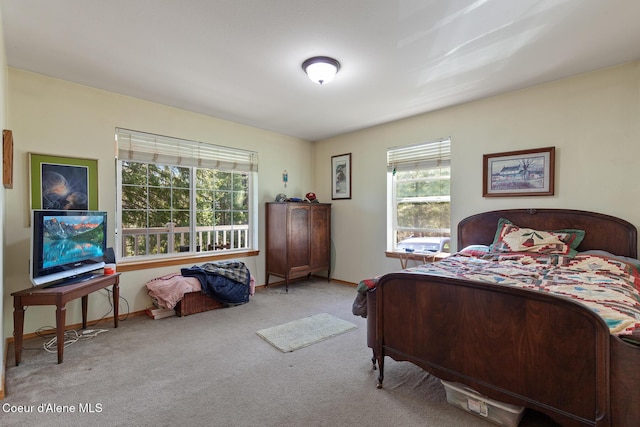130 Stone Haven Dr, Blanchard, ID 83804 - bedroom with baseboards and carpet flooring