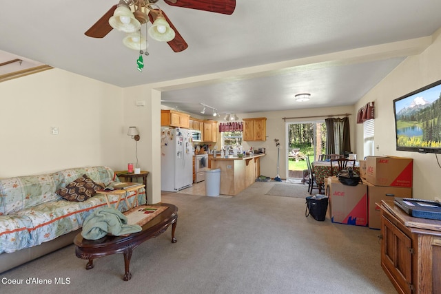 130 Stone Haven Dr, Blanchard, ID 83804 - living room featuring a ceiling fan, rail lighting, and light colored carpet
