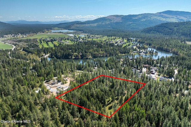130 Stone Haven Dr, Blanchard, ID 83804 - drone / aerial view featuring a water and mountain view and a wooded view