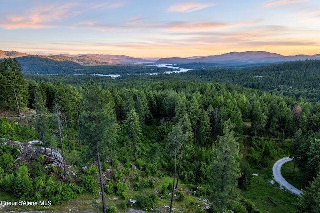 172 Elk Hills Rd, Sandpoint, ID 83864 - mountain view featuring a heavily wooded area