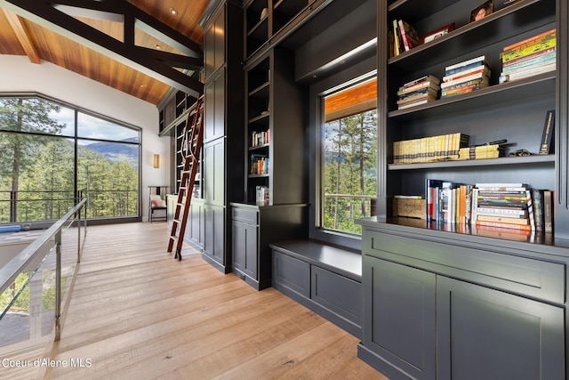 172 Elk Hills Rd, Sandpoint, ID 83864 - unfurnished office with light wood finished floors and wood ceiling