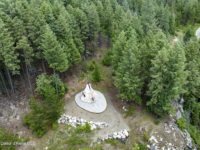172 Elk Hills Rd, Sandpoint, ID 83864 - view of property location featuring a forest