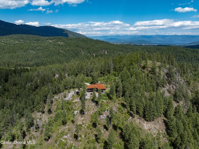 172 Elk Hills Rd, Sandpoint, ID 83864 - view of mountain background with a forest
