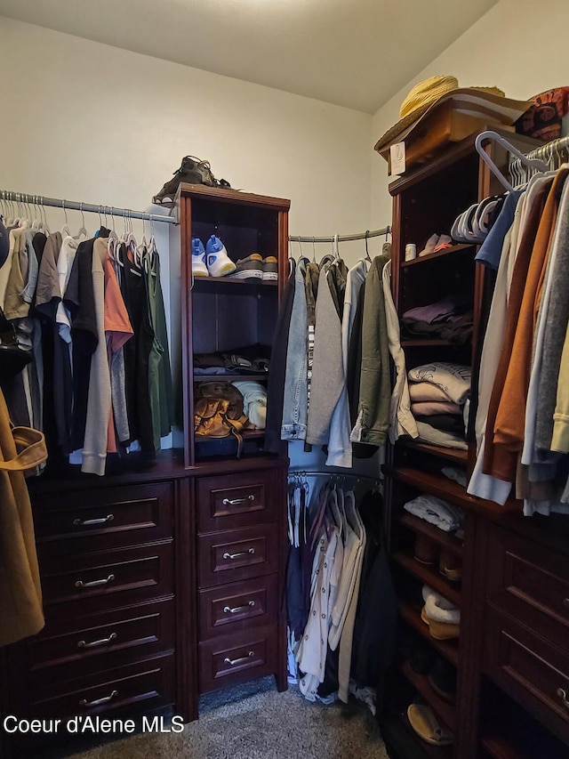 walk in closet with carpet flooring