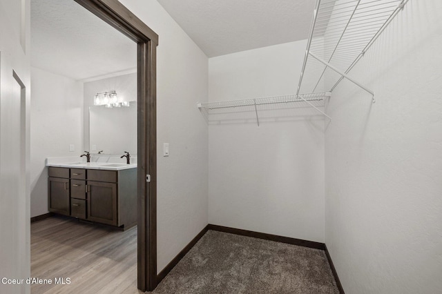 24903 N Old Highway 95, Athol, ID 83801 - spacious closet with a sink and light wood-style flooring