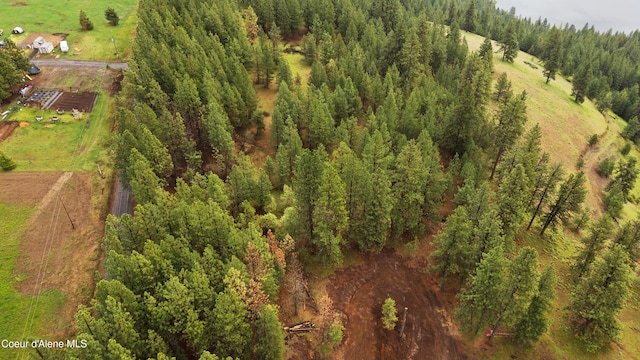 NNA E Holiday Rd, Harrison, ID 83833