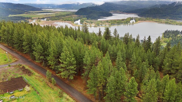 NNA E Holiday Rd, Harrison, ID 83833