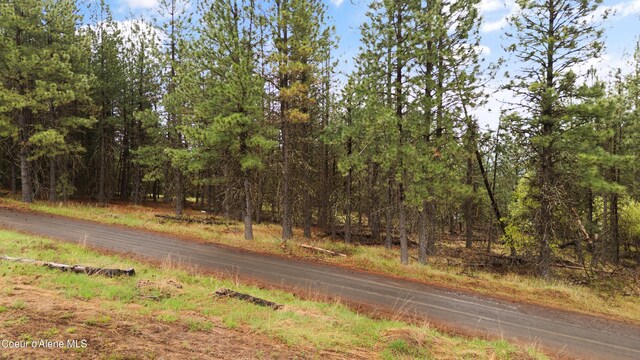 NNA E Holiday Rd, Harrison, ID 83833
