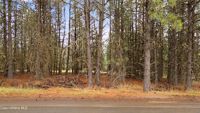 NNA E Holiday Rd, Harrison, ID 83833