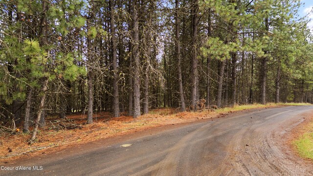 NNA E Holiday Rd, Harrison, ID 83833