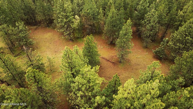 NNA E Holiday Rd, Harrison, ID 83833