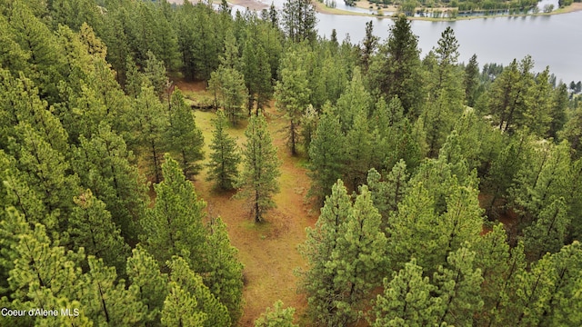 NNA E Holiday Rd, Harrison, ID 83833