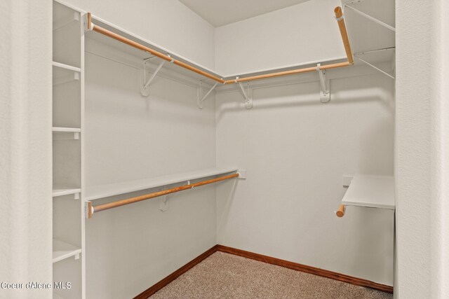 1358 S Starlight Dr, Coeur Dalene, ID 83814 - walk in closet with carpet