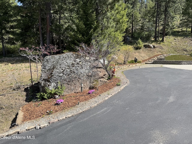 1358 S Starlight Dr, Coeur Dalene, ID 83814 - view of street