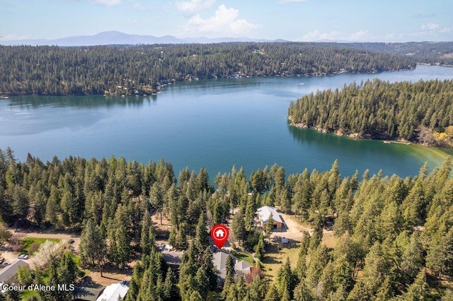 bird's eye view with a forest view and a water view