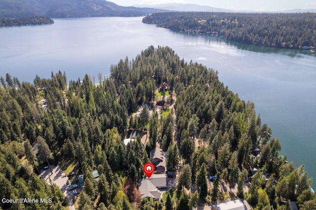 birds eye view of property with a water and mountain view and a wooded view