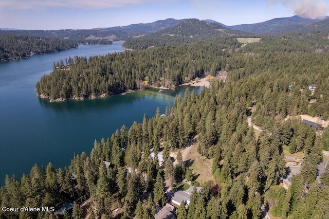 birds eye view of property with a forest view and a water and mountain view