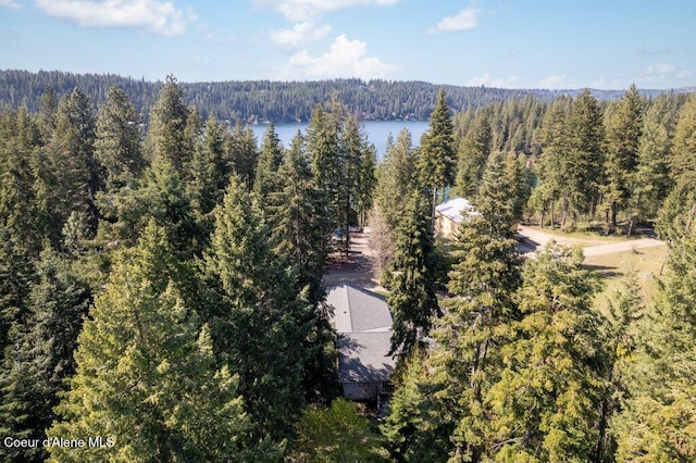 birds eye view of property with a water view and a forest view