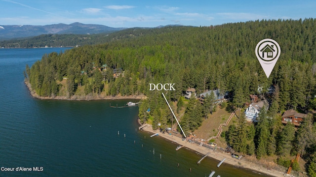 drone / aerial view featuring a water and mountain view and a view of trees