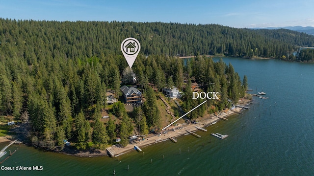 bird's eye view featuring a water view and a wooded view