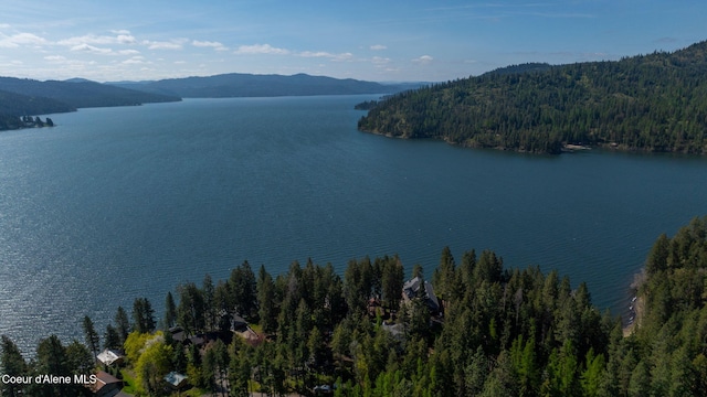 view of water feature with a view of trees and a mountain view