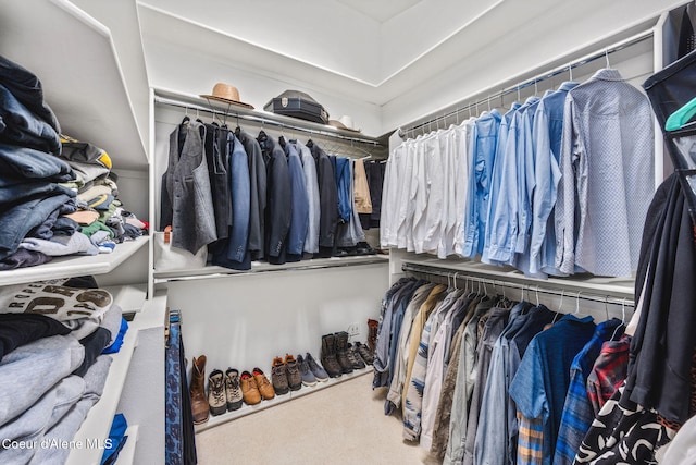 walk in closet featuring carpet flooring