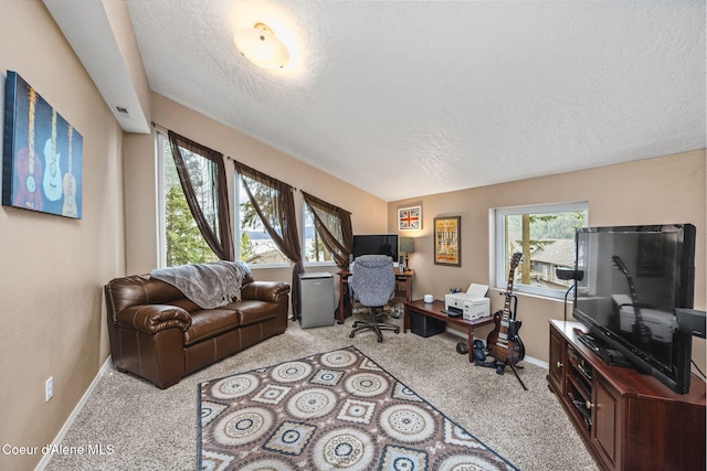 living area with carpet floors, baseboards, and a textured ceiling