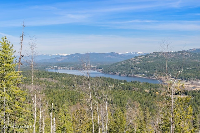 mountain view featuring a water view and a forest view
