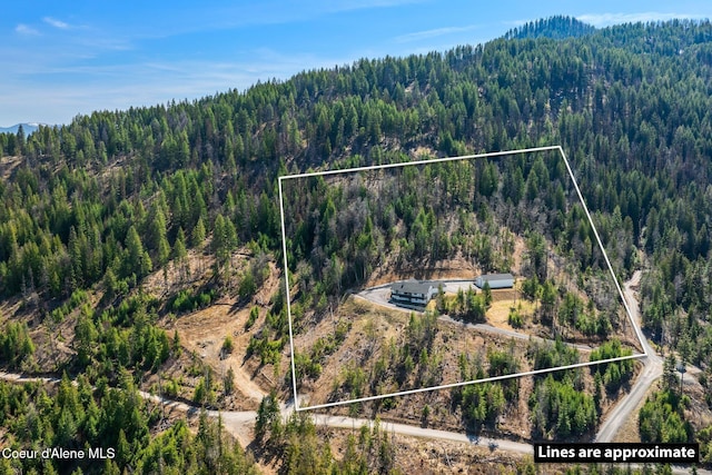 drone / aerial view with a view of trees and a mountain view