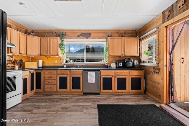 kitchen featuring electric range, a sink, dishwasher, a wealth of natural light, and under cabinet range hood