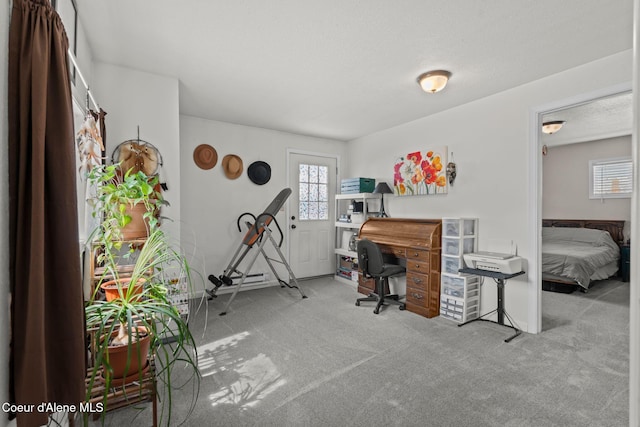 home office with baseboards, carpet, and a wealth of natural light