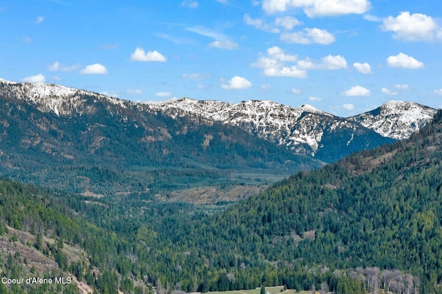 mountain view with a wooded view
